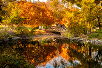 Fall at Graceland Cemetery Chicago ©Amy Boyle Photography