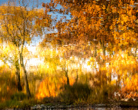Fall reflections at Graceland Cemetery Chicago ©Amy Boyle Photography
