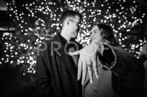 120923-Anthony and Jessica Proposal BW-Colin Boyle-2455