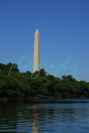 Washington DC  ©Amy Boyle Photography