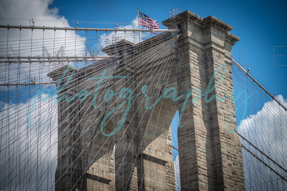 NYC  ©Amy Boyle Photography