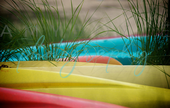 Cape Cod  ©Amy Boyle Photography