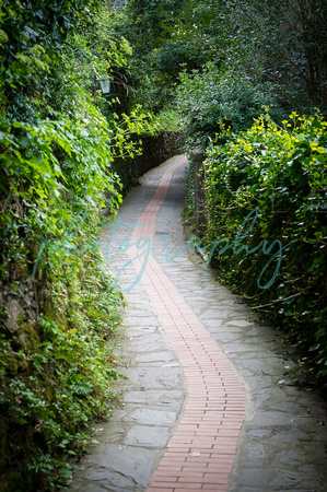 Italy  ©Amy Boyle Photography