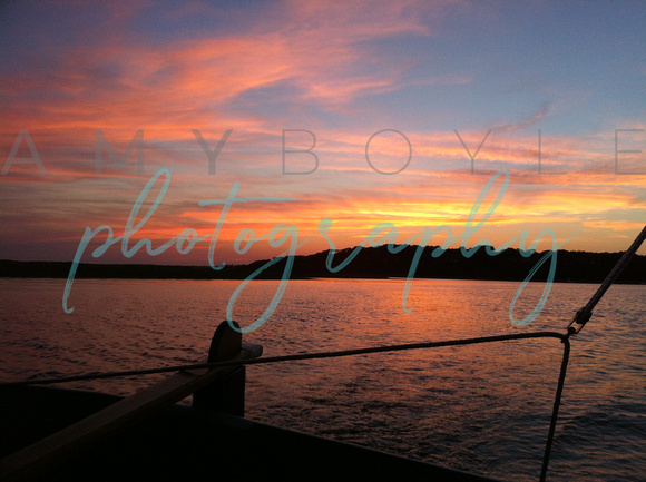 Cape Cod  ©Amy Boyle Photography